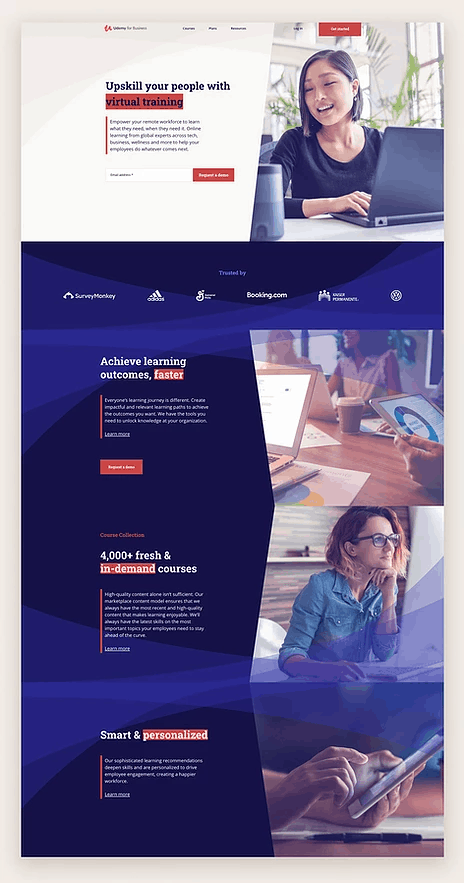 landing page example